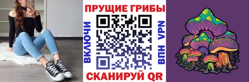 Псилоцибиновые грибы MAGIC MUSHROOMS  Суджа 